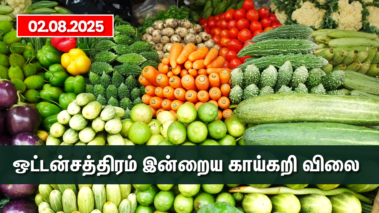 oddanchatram vegetable market